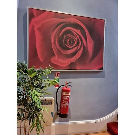 F101-First Floor Flat Fits 3 Near Hyde Park Appartement Londen Buitenkant foto